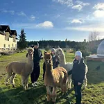 Motel Stilo Country Wolin