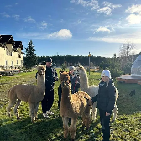 Motell Stilo Country Wolin