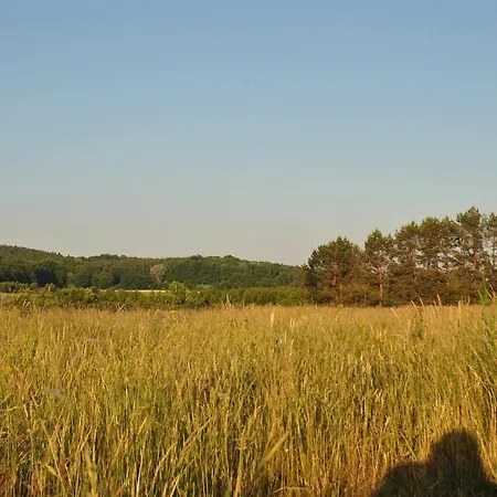 Stilo Country Motel *