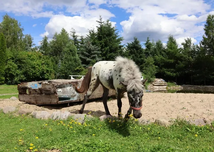 Motel Stilo Country *