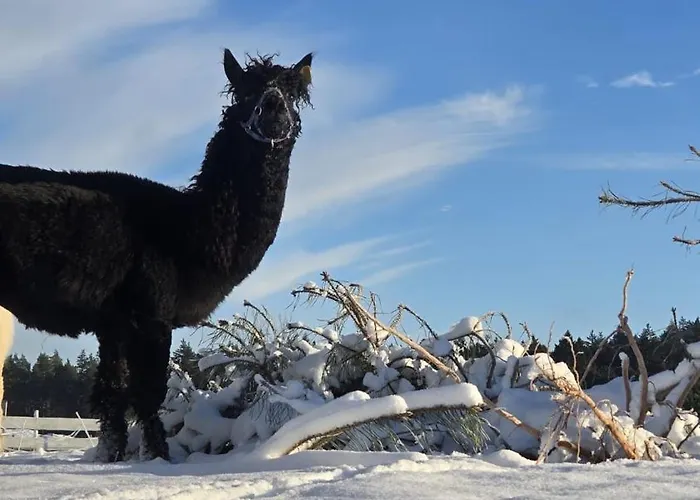 Stilo Country * Wolin