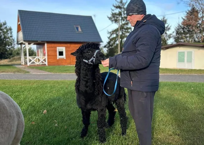 Stilo Country * Wolin