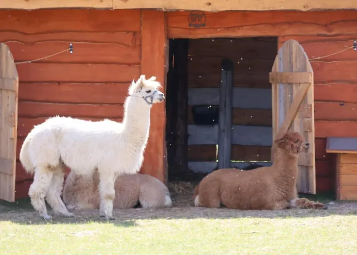 Motel Stilo Country Wolin